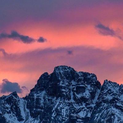 49图库一资料中心下载手机版