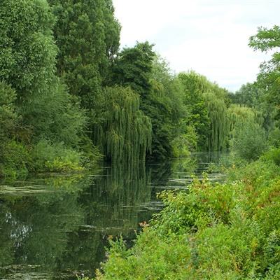 半岛登录入口-登录入口