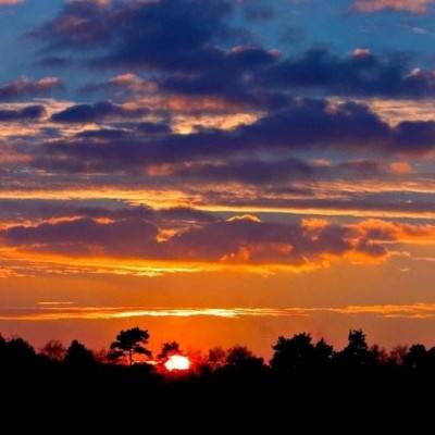 1788网投手机app下载截图